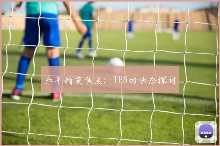 和平精英焦点：TES的状态探讨
