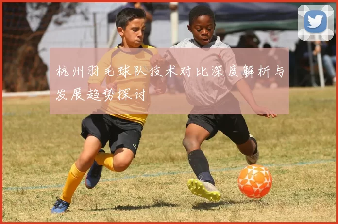 杭州羽毛球队技术对比深度解析与发展趋势探讨