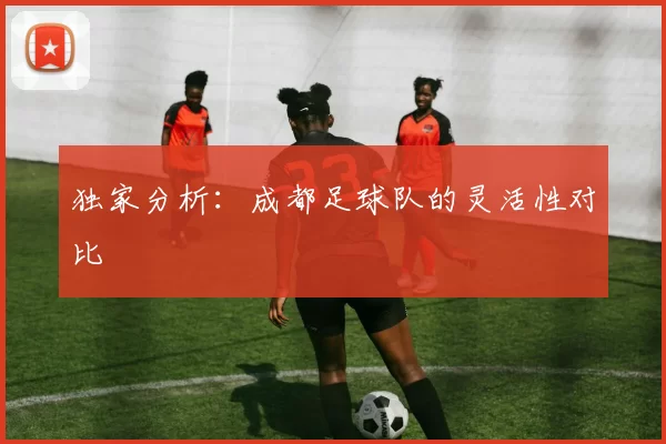 独家分析：成都足球队的灵活性对比