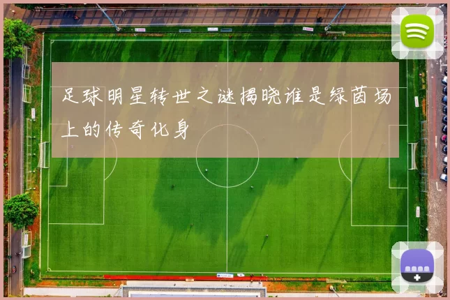 足球明星转世之谜揭晓谁是绿茵场上的传奇化身