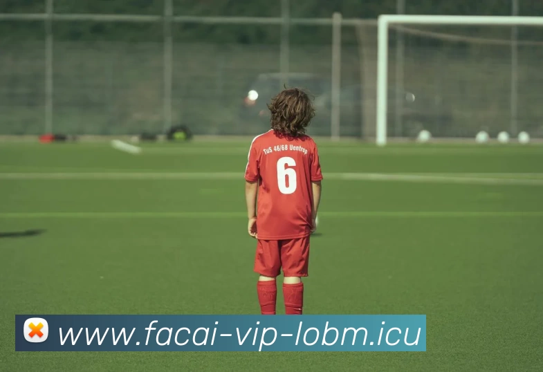 乐鱼体育发展历程